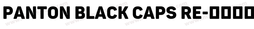 Panton Black Caps Re字体转换